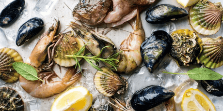 Морепродукты: как правильно приготовить моллюскообразных